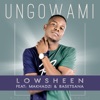 Basetsana - Ungowami