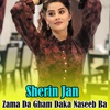 Zama Da Gham Daka Naseeb Ba - Single