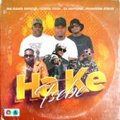 Ha Ke Tsebe (feat. DJ Neptune & Phantom Steeze) artwork
