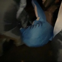 SHARKS! (feat. Zirk) - Single - GH0STLY!