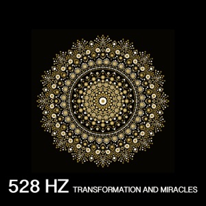 528 Hz Transformation and Miracles