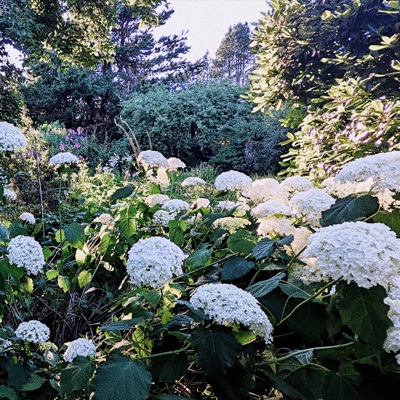 On My Own Shit (feat. Artie Trasshko) - Single