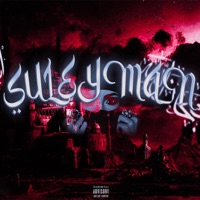 SULEYMAN - Single - Laur Tys