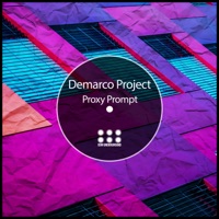 Proxy Prompt - Single - Demarco Project