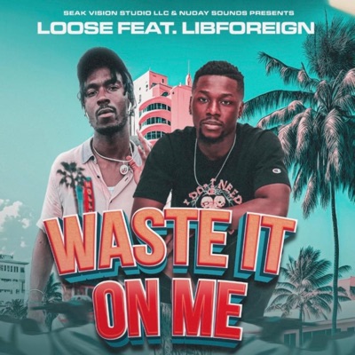 Waste on me (feat. LibFOREIGN) - Single