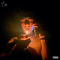 Chavo Malo - Single - Lowkifye