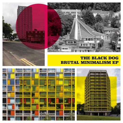 Brutal Minimalism EP by The Black Dog