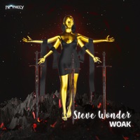 Steve Wonder - Single - WOAK