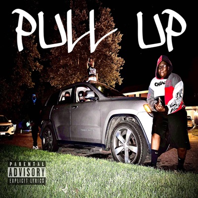 Pull Up (feat. Sydney, Zonedout 2ez, 3EZMAR & Prolific.six) - Single