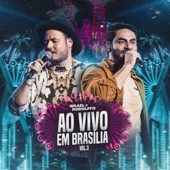 Ex Alcoolizado (Ao Vivo) artwork