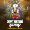 Mala Pahaych Tuljapur (DJ Remix) - Single