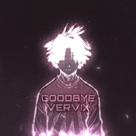 Goodbye (slowed) VERV!X