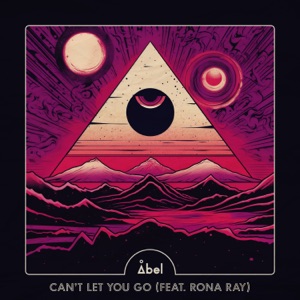 Can't Let You Go (feat. Rona Ray) - Single