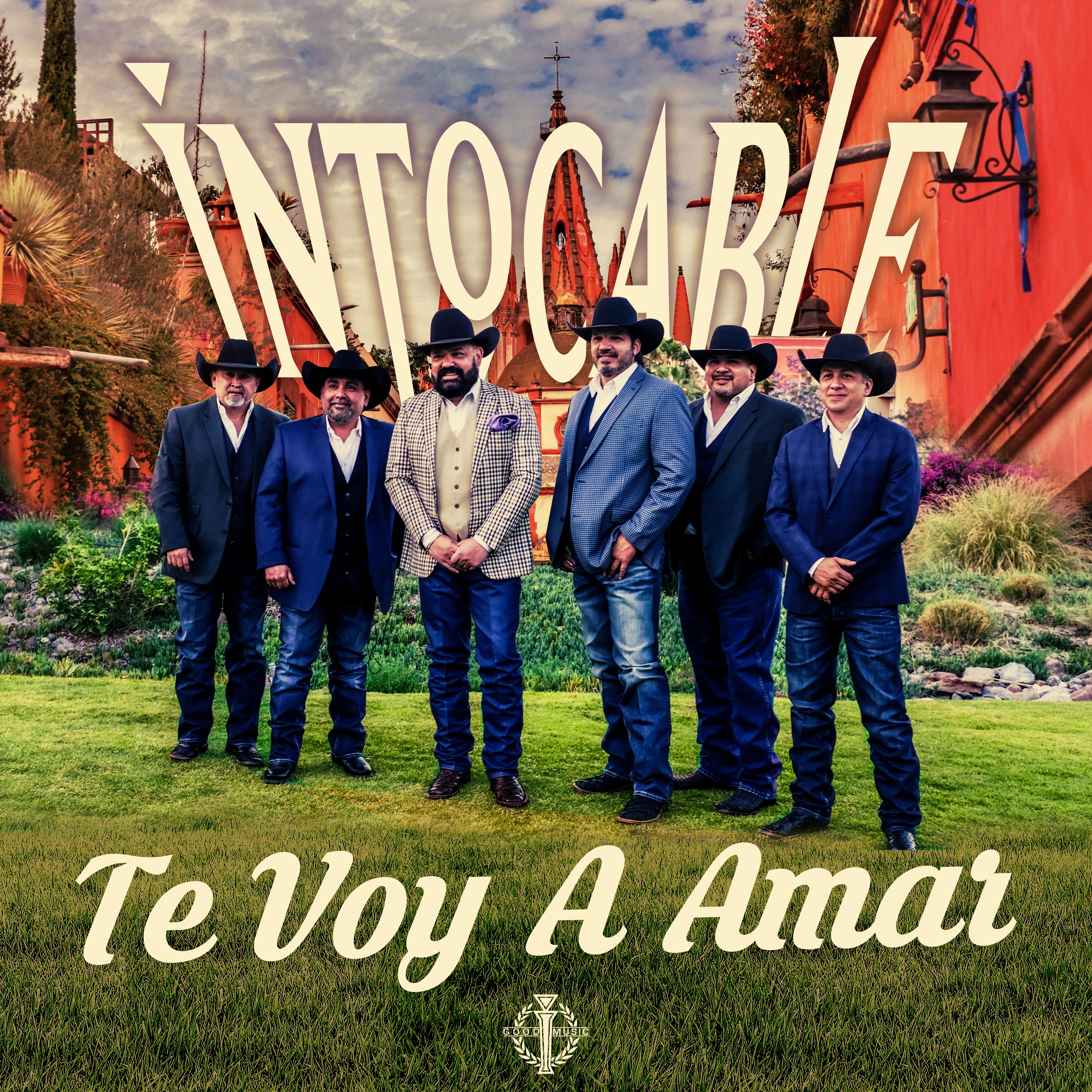 Te Voy a Amar - Single