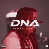 DNA (feat. NG City) - Single - Big Grip