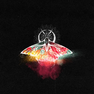 Мотылёк - Single