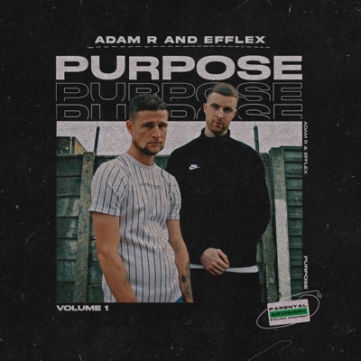 Purpose Volume 1
