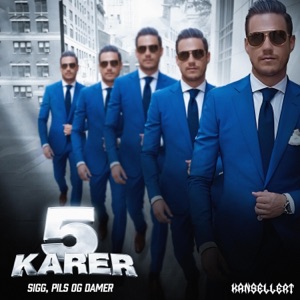 Sigg, Pils & Damer (5 Karer) - Single