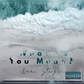 What Do You Mean ? artwork