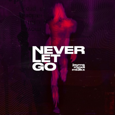 Never Let Go (feat. MOXII & MI3KX) - Single