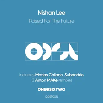 Dusty Bees (Matias Chilano Remix) by Nishan Lee song reviws