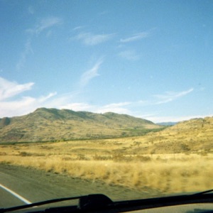 Chasing a Coyote