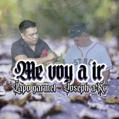 Me Voy a Ir (feat. Lapo Garmel) - Single