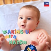 Waking Up With Haydn artwork