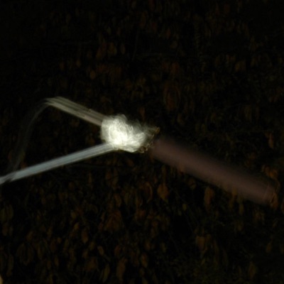 Dexters Ballad - Single