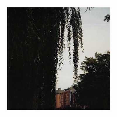 Falling Down (feat. John Davis) - Single