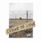Back to Sunnyside - Fishgrape lyrics