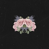 Take Me Higher - Single - Tehj