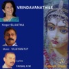 Vrindavanathile - Single