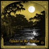 Wade In the Water - Single