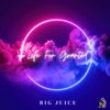 Life For Granted - Single