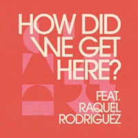 How Did We Get Here? (feat. Raquel Rodriguez) - Single - Nate Williams