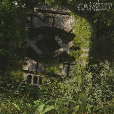 Family - Single