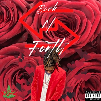 Back N Forth (feat. LXVLSTMNO) - Single