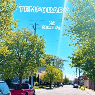 Temporary - Single