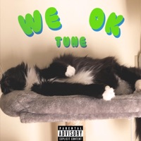 We Ok - Single - Tune