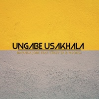 Ungabe usakhala (feat. CRAZY SK & Msongi) - Single - Bayanda Jobe