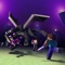The Minecraft Ender Dragon - firstclasslikealways lyrics