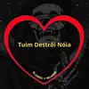 Stream & download Tuim Destrói Nóia (feat. DJ Magro) [Slowed + Reverb]