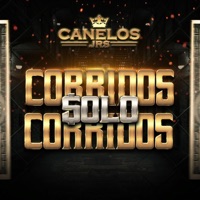 CORRIDOS SOLO CORRIDOS - Canelos Jrs