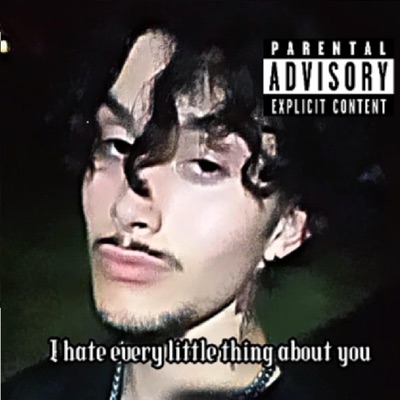 I Hate Every Little Thing About You - Single