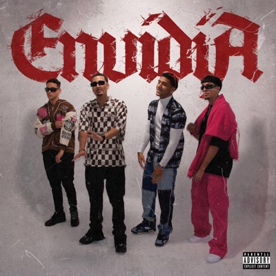 ENVIDIA - Single