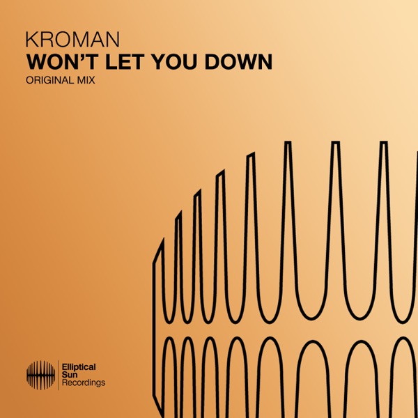 Won't Let You Down - Single