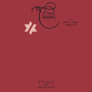 Flaga: Book of Angels, Vol. 27