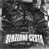 SLUŽEBNÍ CESTA artwork