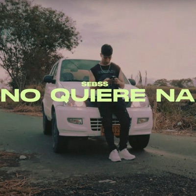 No Quiere Na' - Single